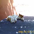 20060603_00160