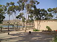 P6020020