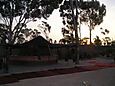 P6010014