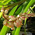 Dscn1658