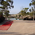 Dsc00053