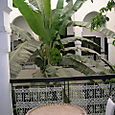 Dscn1623