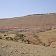 Dsc00066