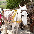 Dsc00081