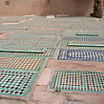 Dscn1646_1