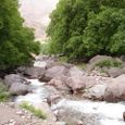 Dsc00109