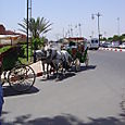 Photosmarrakech_149