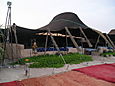 P6010013