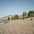Imm006_7