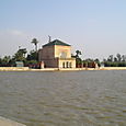 P6010005