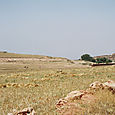 Imm009_10