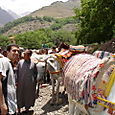 Dsc00082