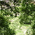 Dsc00095