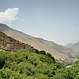 Imm016_17