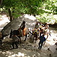 Dsc00093