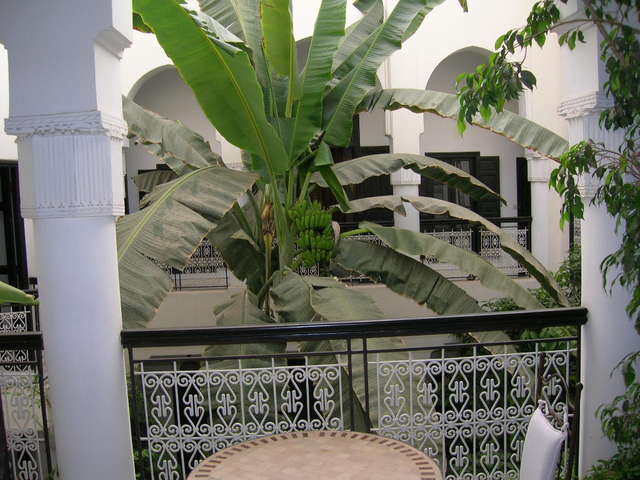 Dscn1623