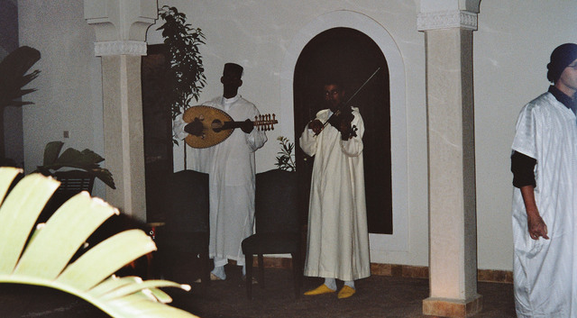 Imm018_19