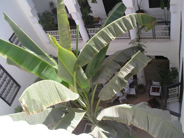 P6040058
