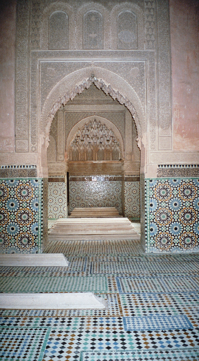 Imm023_24_1