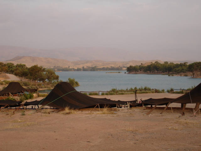 Dsc00011