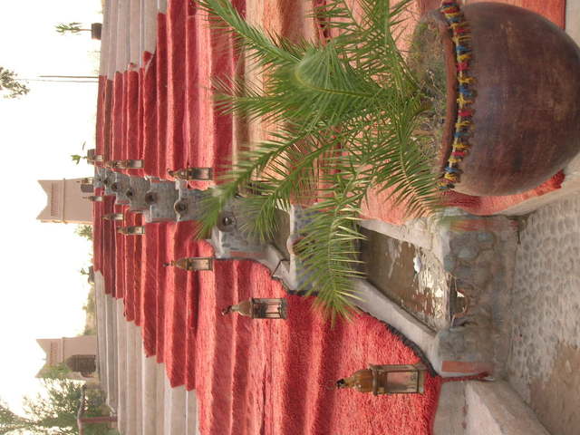 Dscn1595