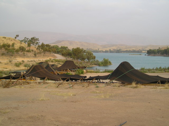 P6010007