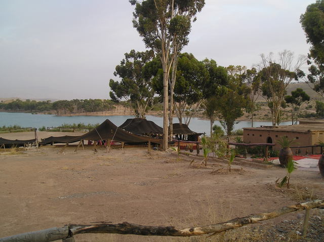 P6010008