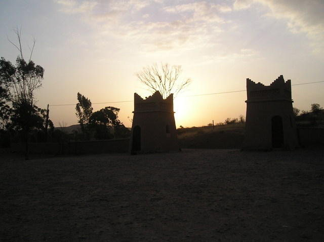 P6010009