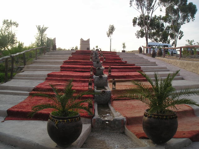 P6010010