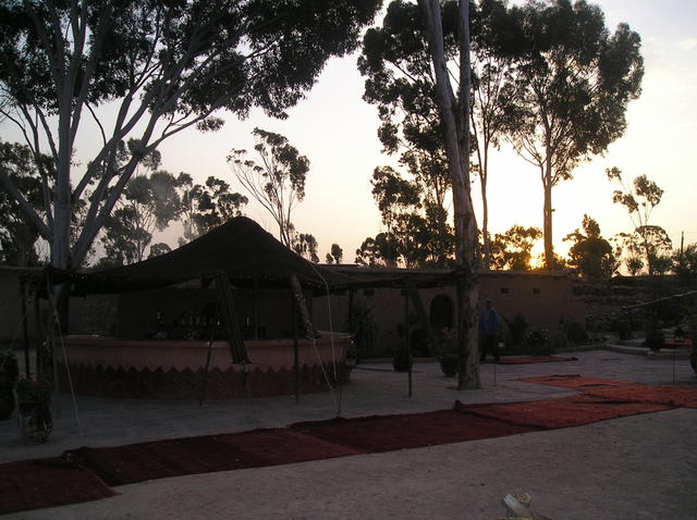 P6010014