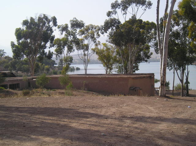P6020016