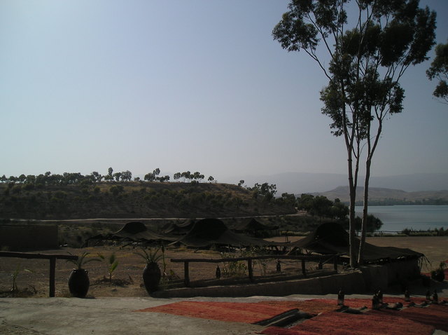 P6020019