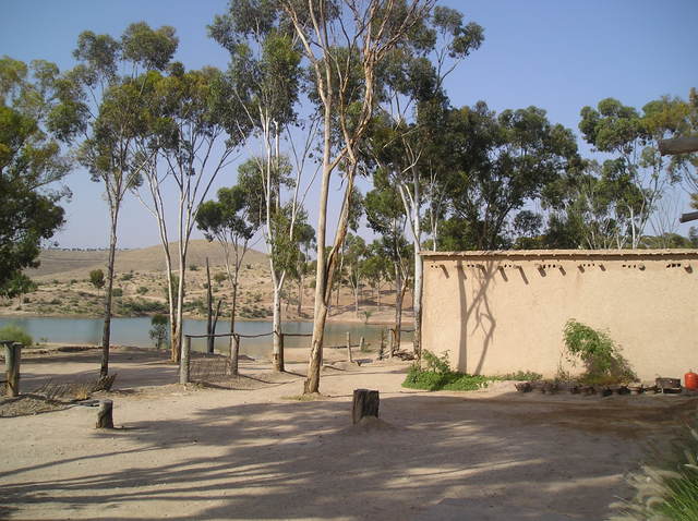 P6020020