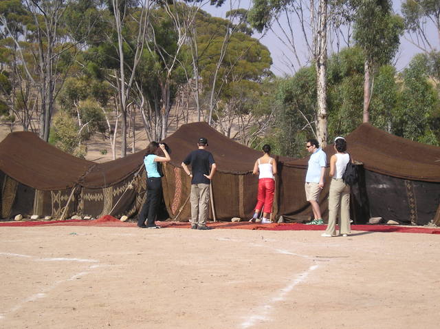 P6020022