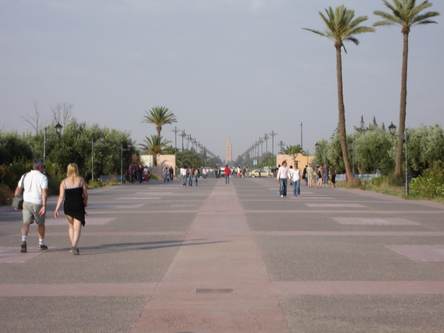 Dsc00004