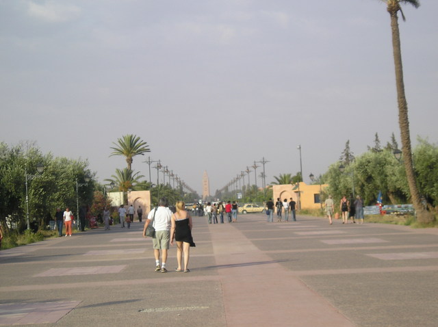 P6010006