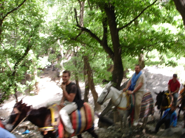 Dsc00092