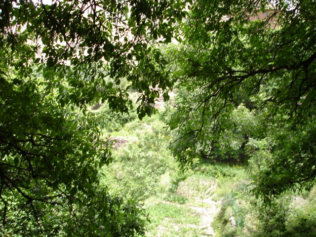 Dsc00095