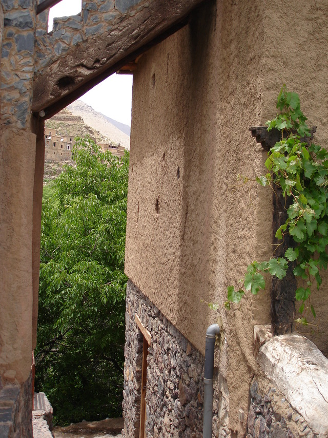 Dsc00101