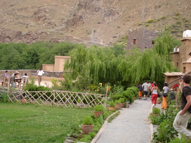 Dsc00106