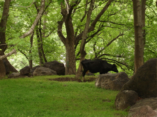 Dsc00107