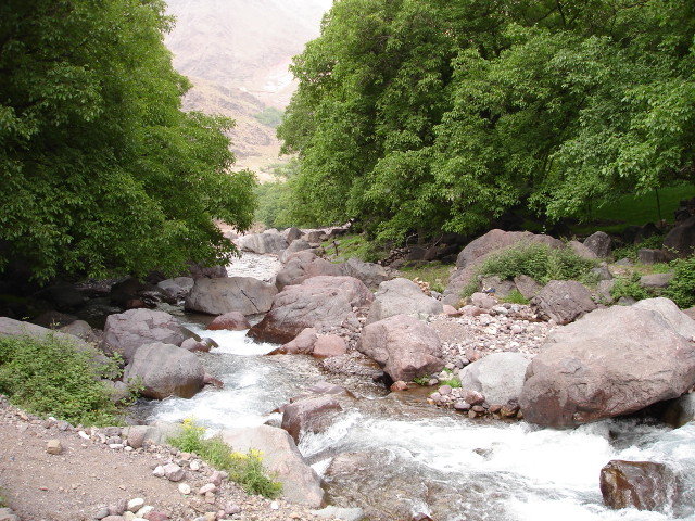 Dsc00109