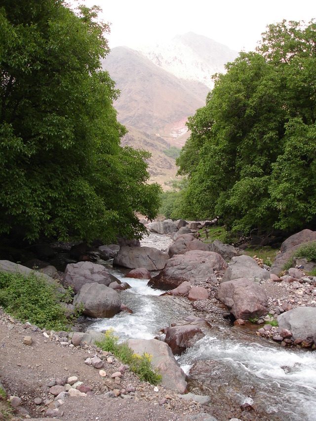 Dsc00110