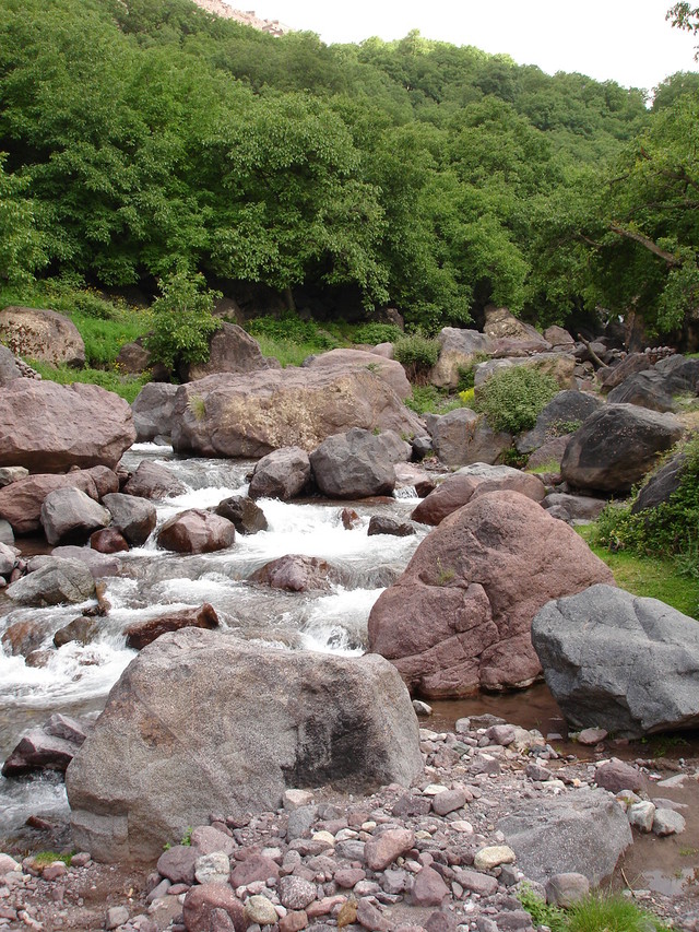 Dsc00111