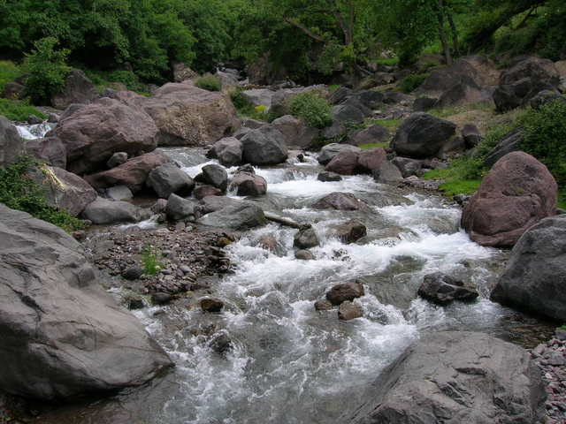 Dscn1617