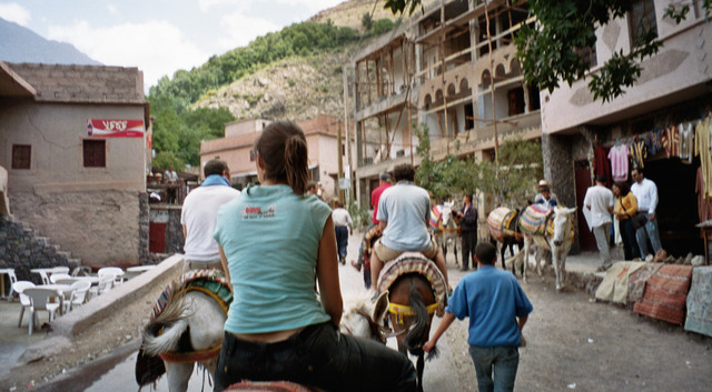 Imm011_12