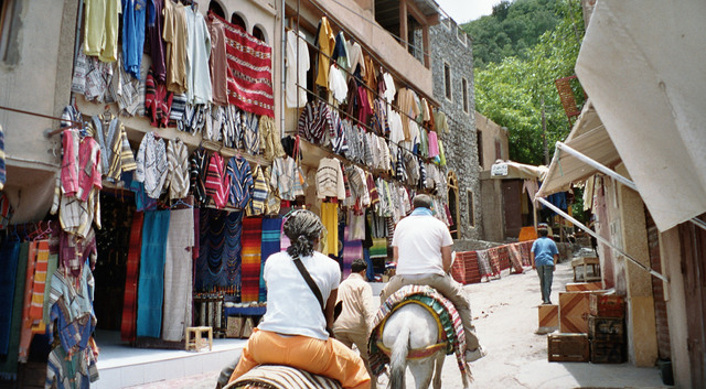 Imm012_13