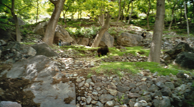 Imm013_14