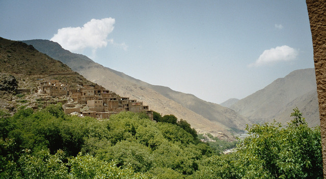 Imm016_17