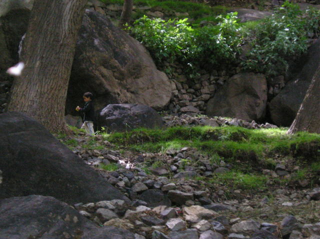 P6020040